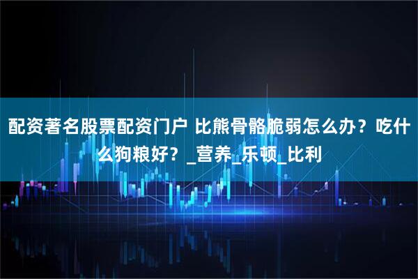 配资著名股票配资门户 比熊骨骼脆弱怎么办？吃什么狗粮好？_营养_乐顿_比利