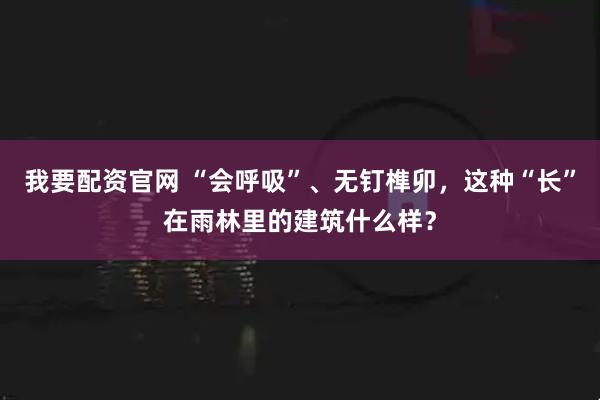 我要配资官网 “会呼吸”、无钉榫卯，这种“长”在雨林里的建筑什么样？