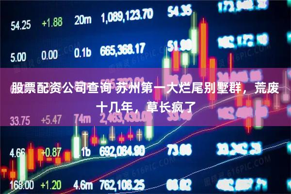 股票配资公司查询 苏州第一大烂尾别墅群，荒废十几年，草长疯了
